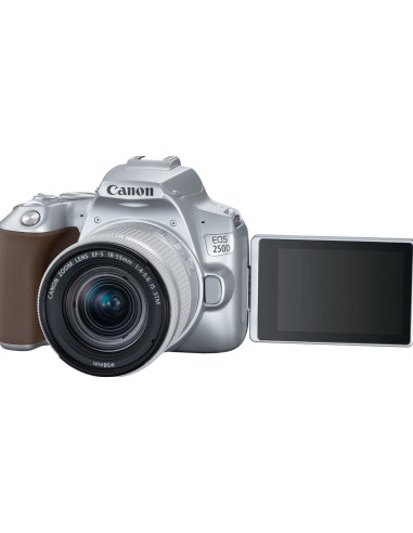 EOS 250D + EF-S 18-55mm f/4-5.6 IS STM Argento